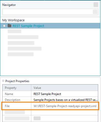 The project file location