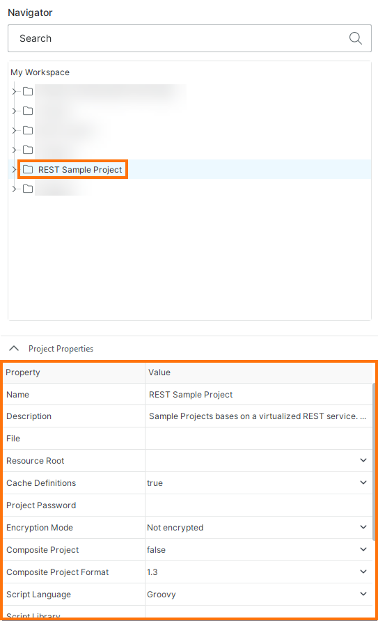 RAPI_Screenshot_Project_Properties.png