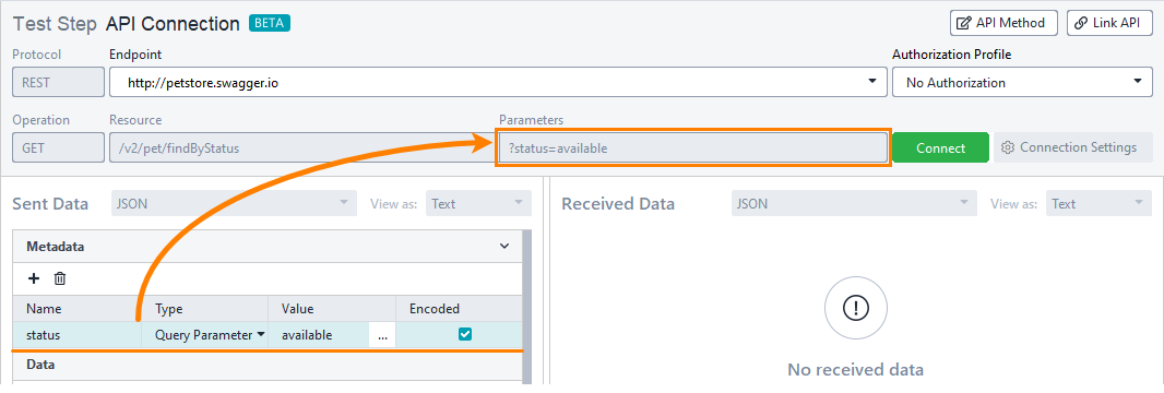 Query parameter in the API Connection test step