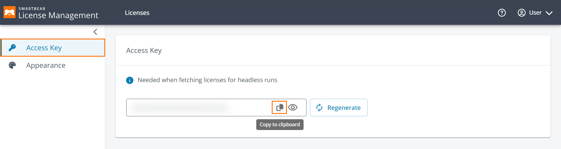 RAPI_Screenshot_Access_Key_Copy.png RAPI_Screenshot_Access_Key_Copy.png