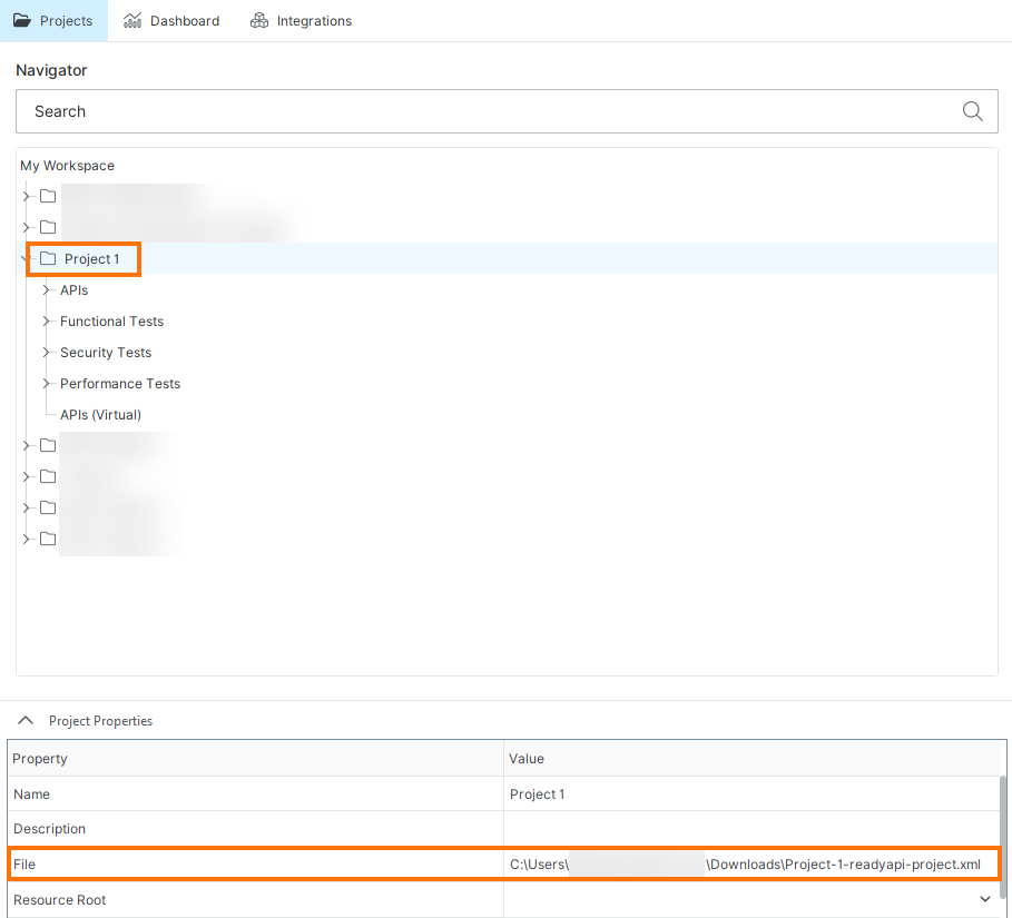 RAPI_Screenshot_Project_Properties_File.png
